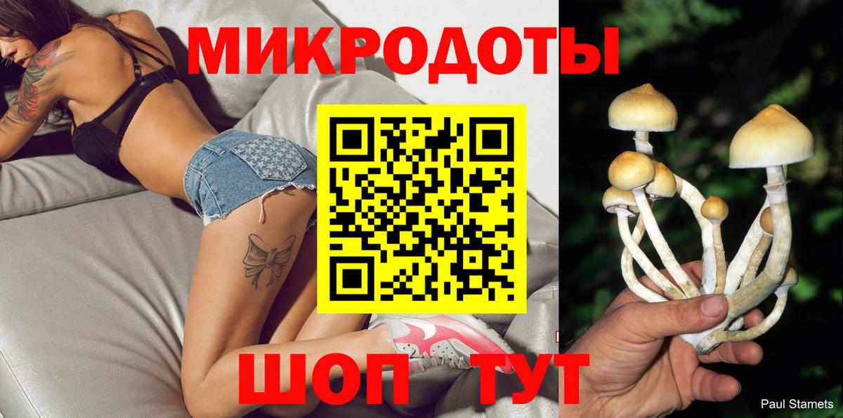 Псилоцибиновые грибы мухоморы Кушва