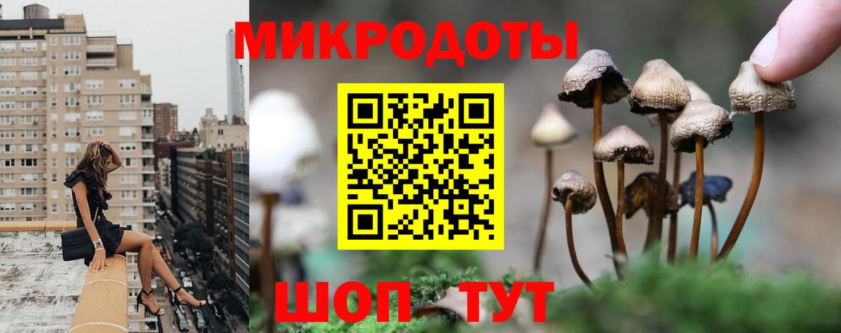 Кушва  Псилоцибиновые грибы Psilocybe  Вход с VPN 